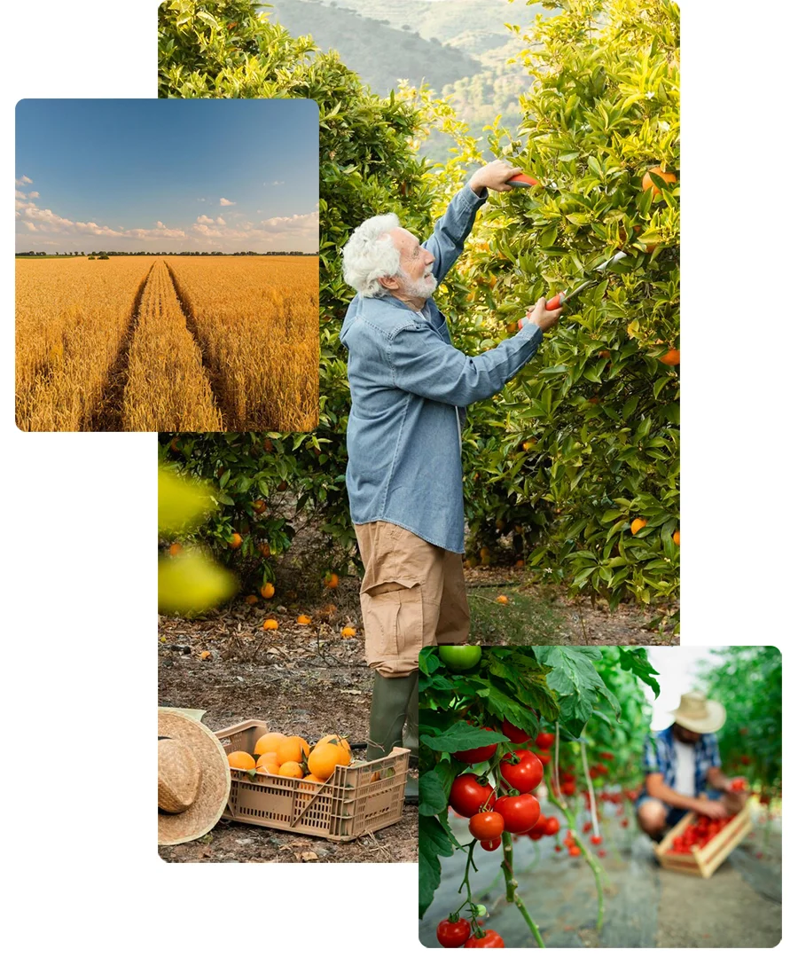 Productos fitosanitarios y agrícolas para el cuidado de tus tierras y cultivos